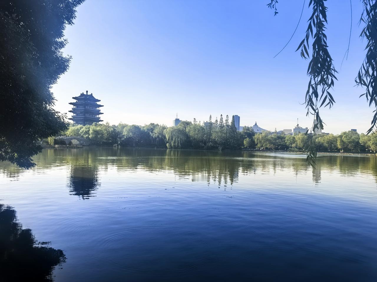晨游大明湖
2025.5.3