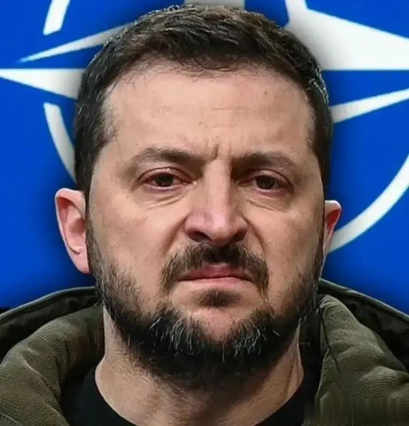 怕被抓壮丁，乌克兰一半以上的外派外交官都没有打算回来。

这倒不是他们全都怕死，