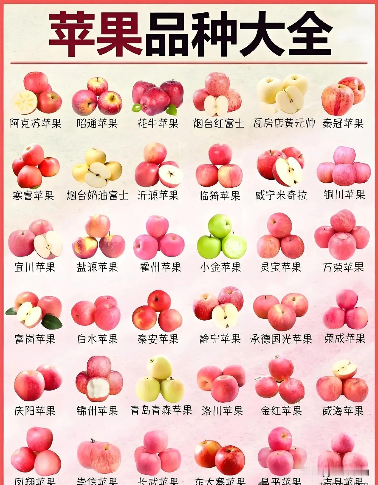 🍎 苹果品种大全，快来一探究竟！🍎
