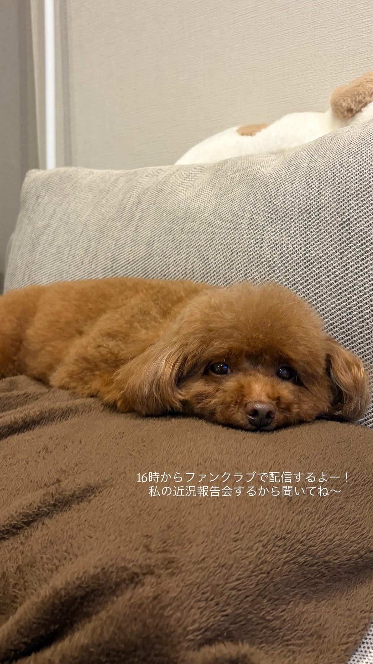 濱岸ひより🐤　hamahiyogram