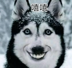 内娱这“敏感肌”也是没谁了😼。既然是光明正大的兄弟情姐妹情，又没亲密举动，怎么