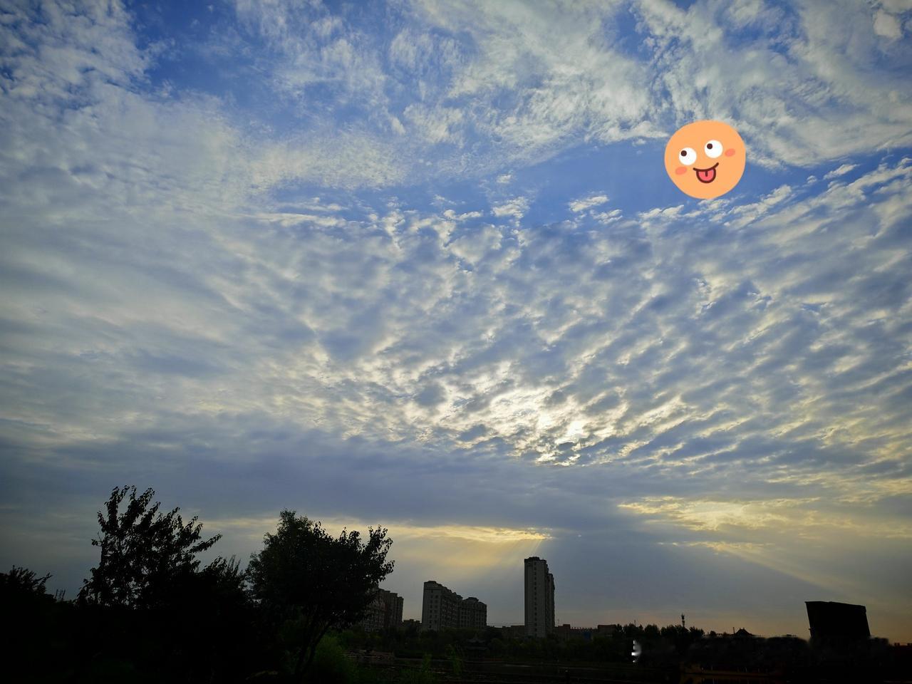 夏日生活打卡季