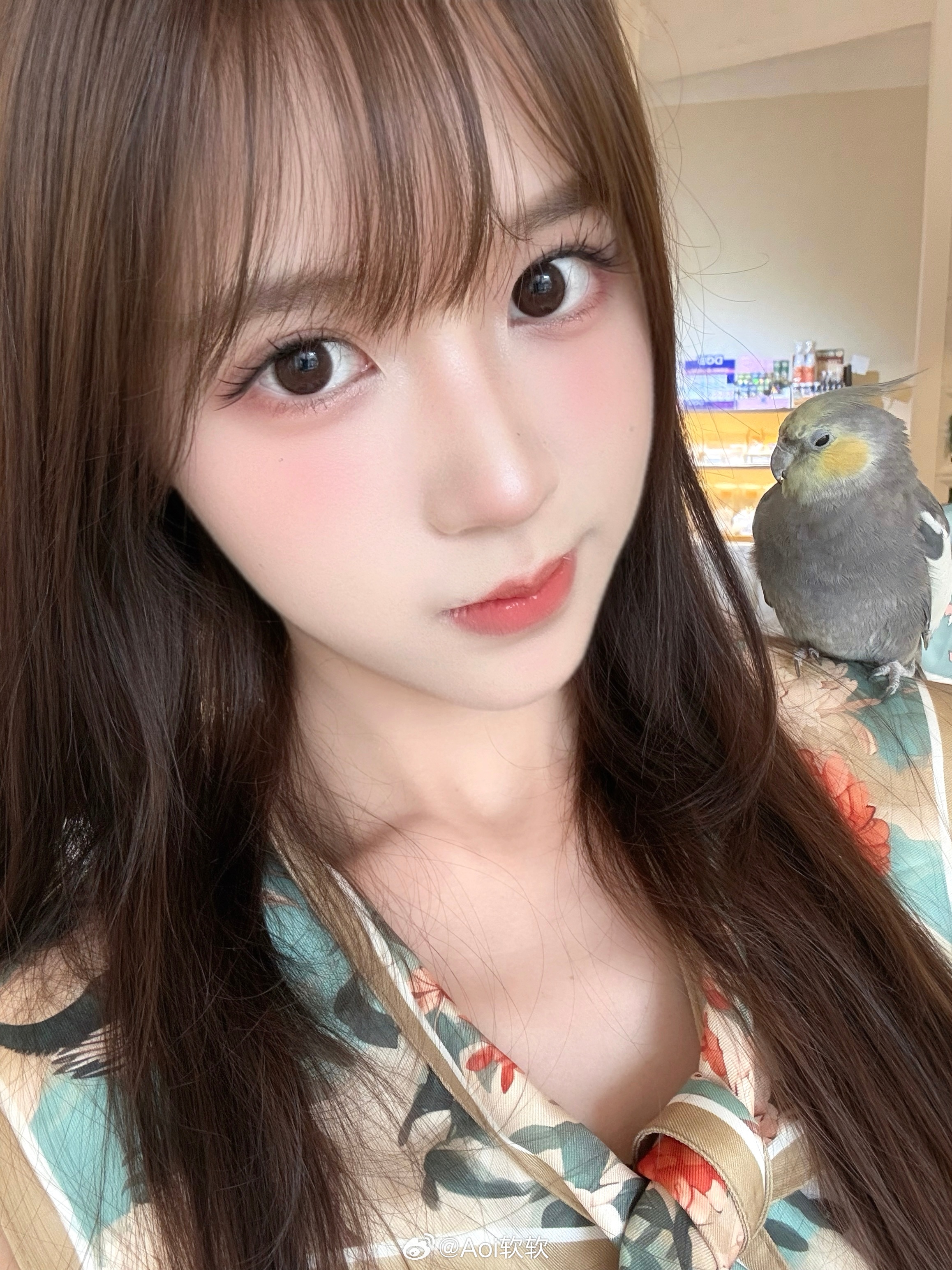 🦜其实我和小鸡的关系超好！ 