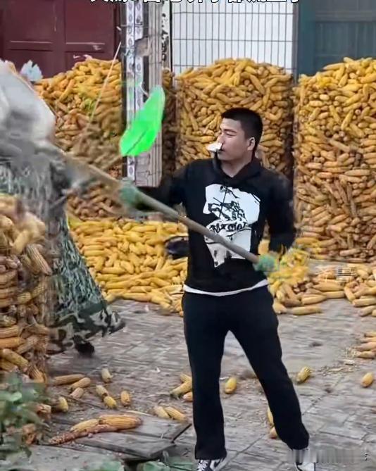 笑不活了！山东菏泽，未过门的女婿来到老丈人家干农活，为了表现自己，整个人就没停下