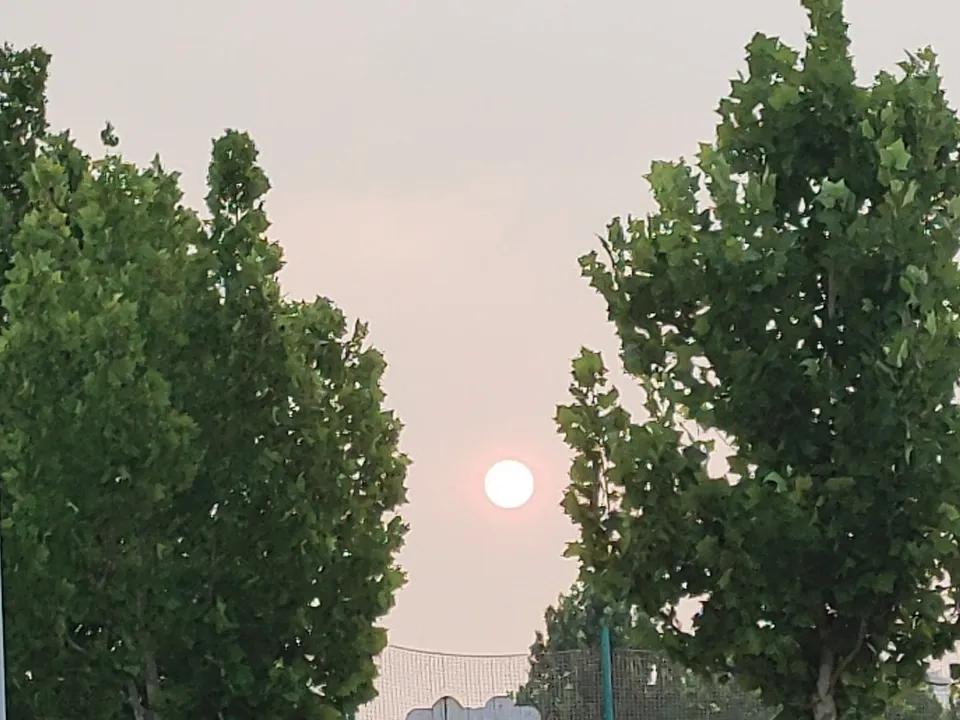 今天分享一张随手拍