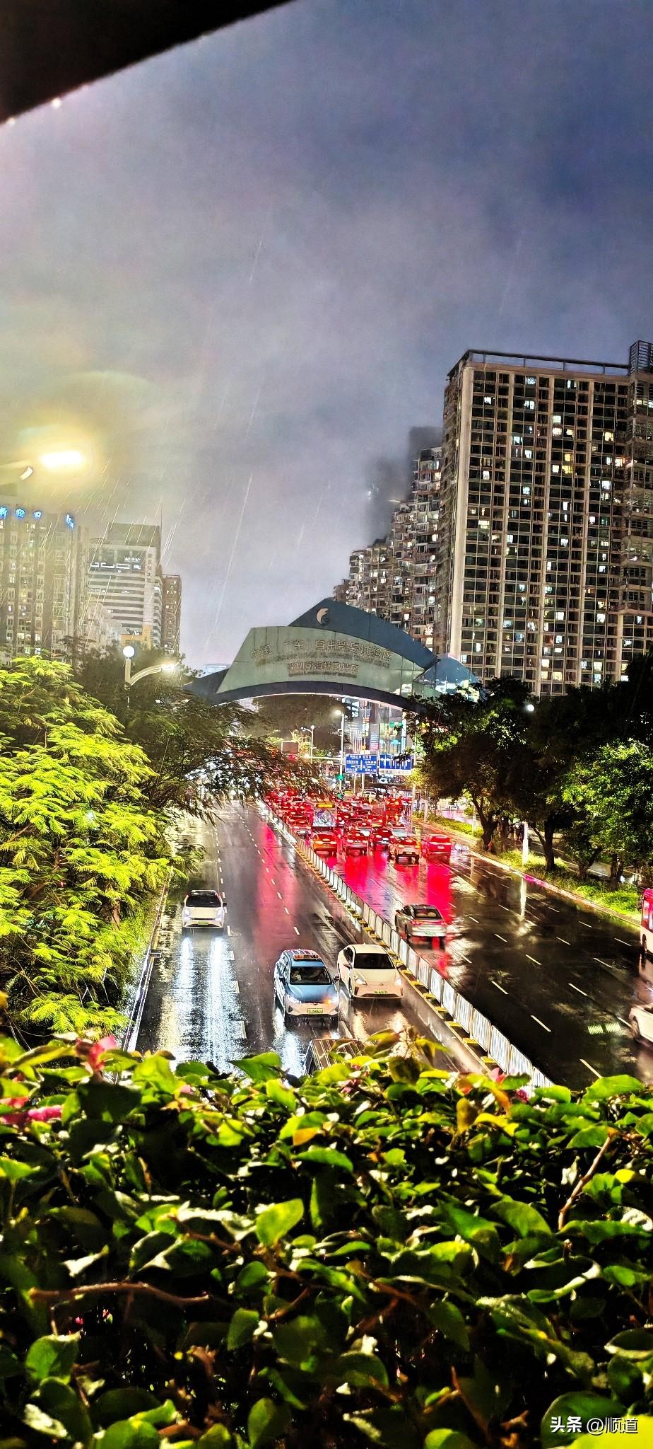 今天中午，深圳全市1350个公园全部关闭了，因为受大雨影响，存在安全隐患。
至于