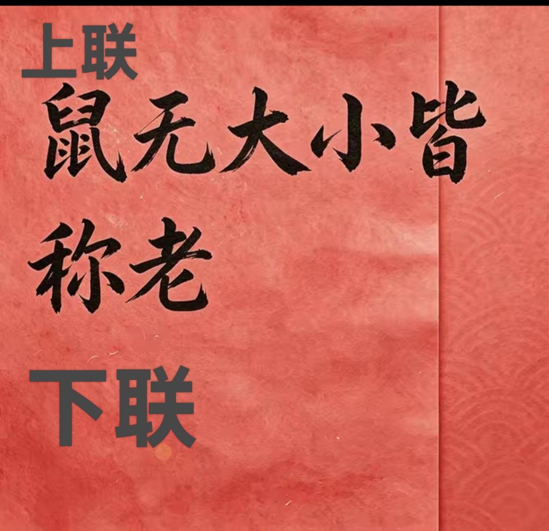 无论大小，鼠都被称为老鼠。新玩法，新挑战，我出个上联，你敢接下联吗？开动大脑开心