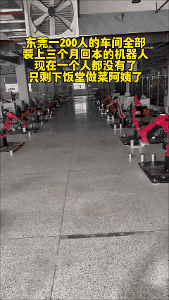 这么大的厂子一个人没有，效率是有了却少了人气……[泣不成声]