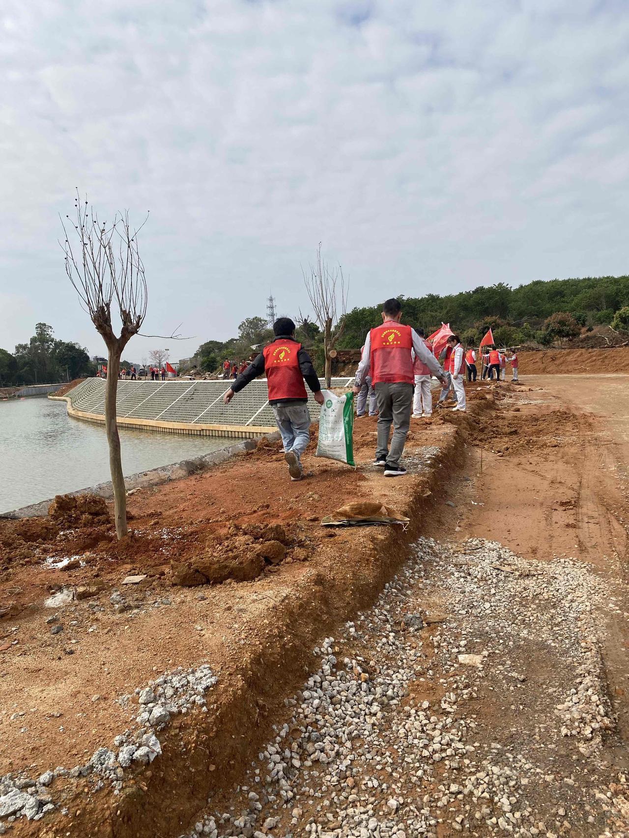 赴一场春日之约，亲手种下希望，静待绿树成荫