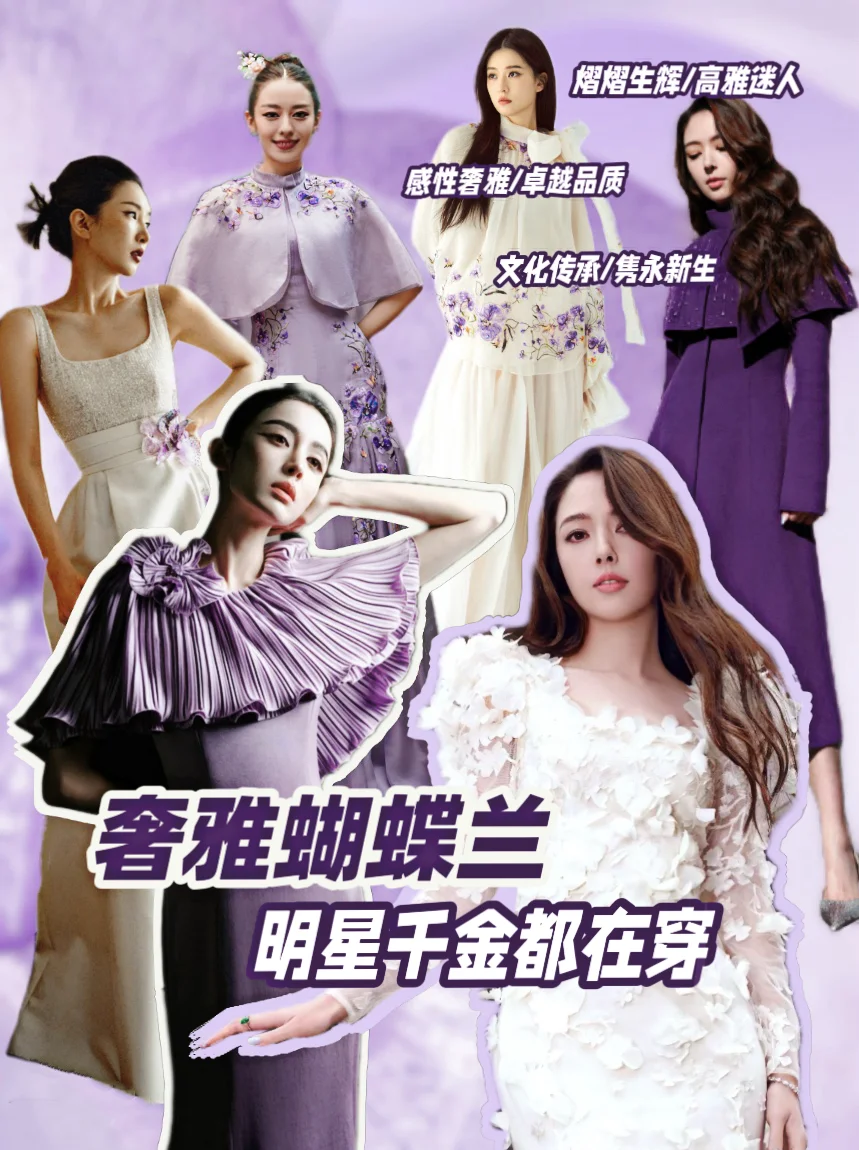 奢雅蝴蝶兰/明星千金都在穿