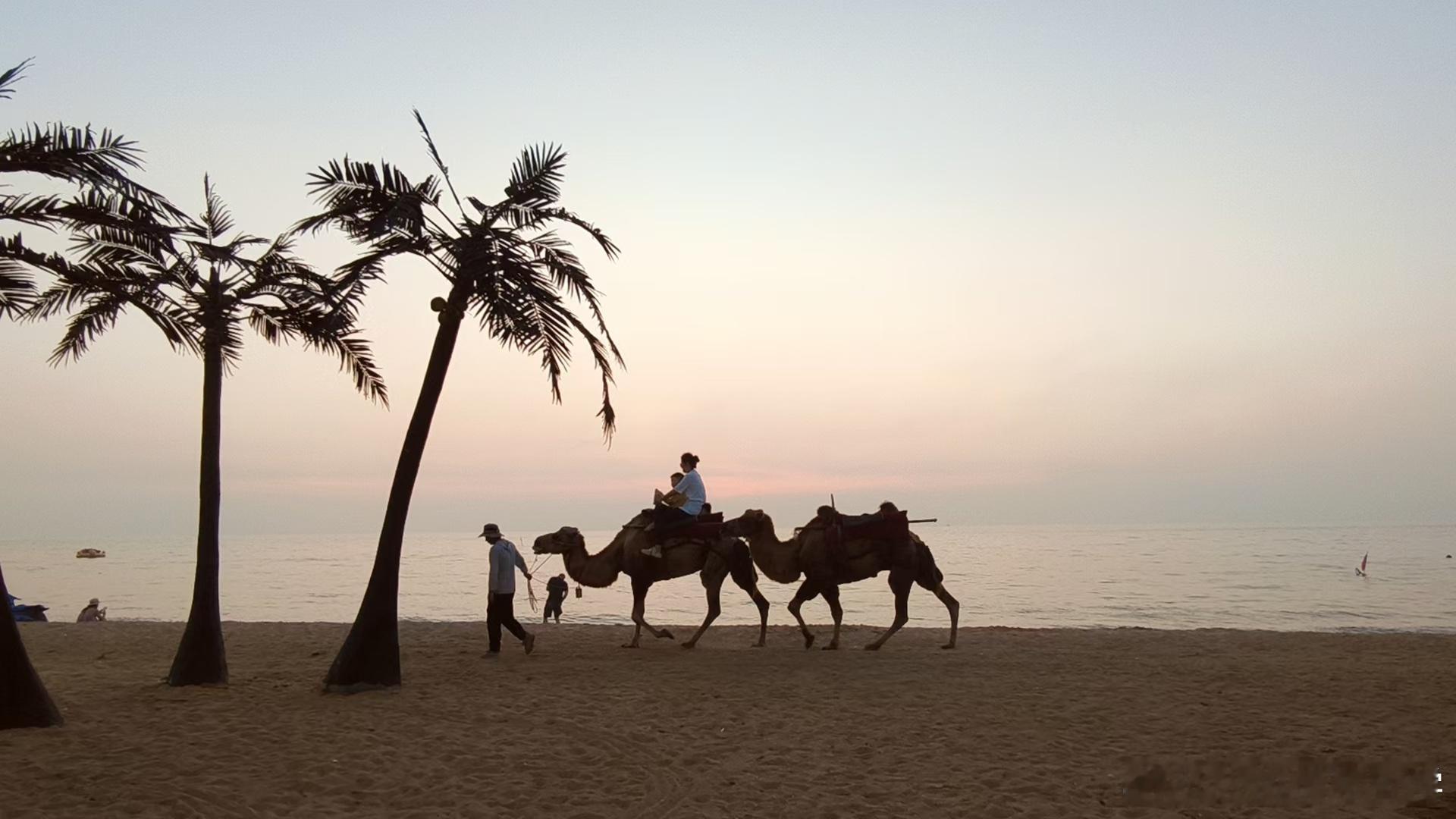 所谓成熟，就是终于懂得了两件事：一是别人的事与我无关，二是我的事也与别人无关。 