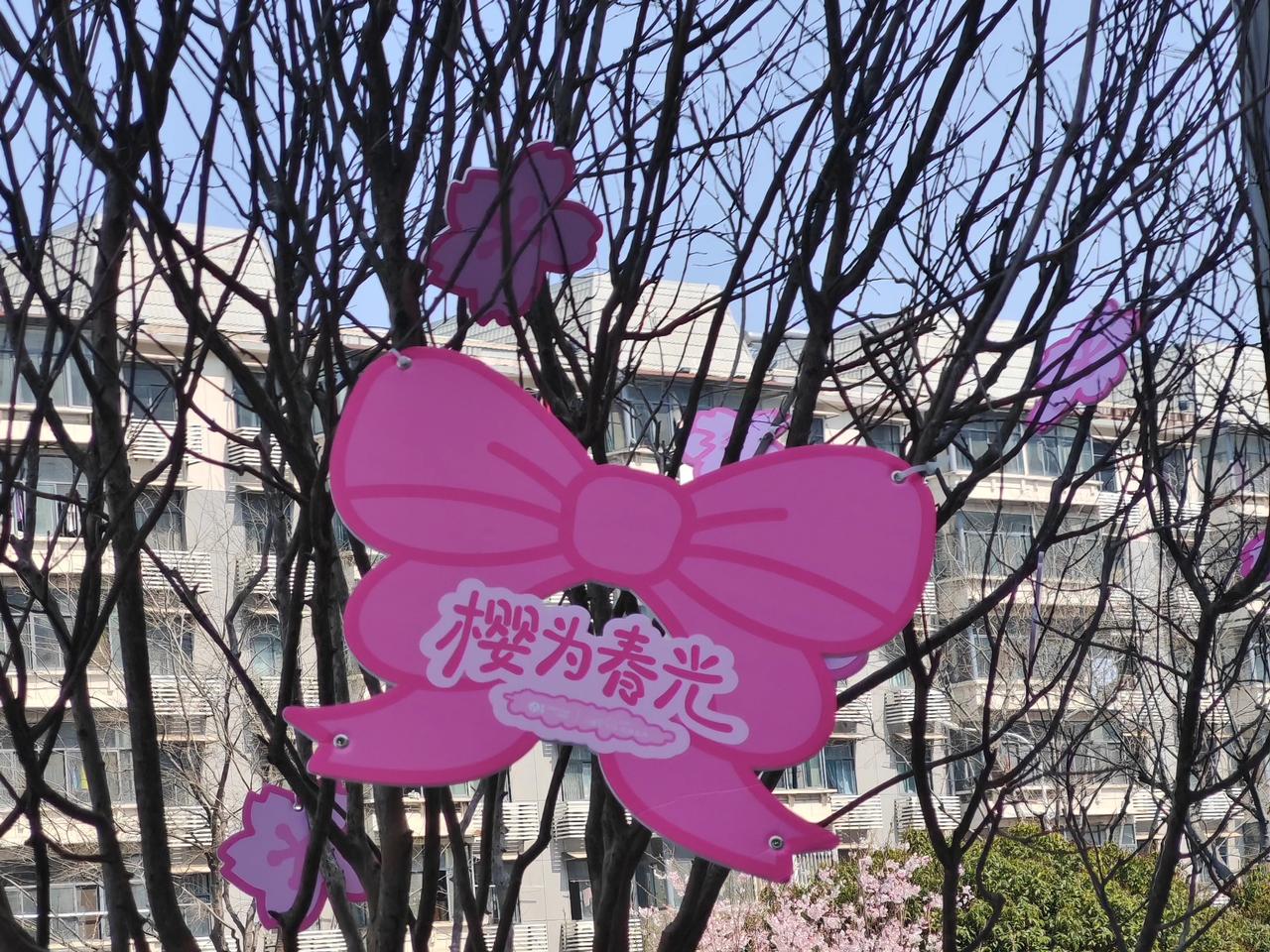 晒图笔记大赛光谷广场“樱为春光”蝴蝶结🎀，挂在一棵还没有萌出嫩芽到树上，远处是