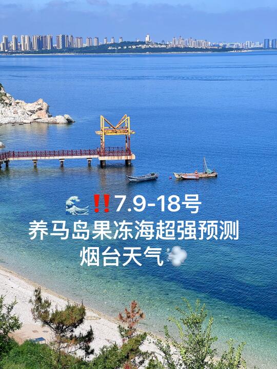 📍7.9-18号烟台养马岛果冻海超强预测