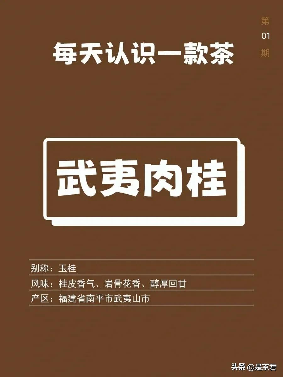武夷肉桂|每天认识一款茶01

“香不过肉桂，醇不过水仙”。

它以香见长，在岩