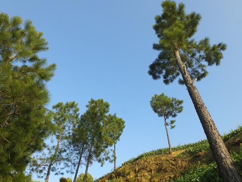 经常生气真的会生病！从中医角度讲，气大伤身是有依据的。生气时，人体会分泌一种叫皮