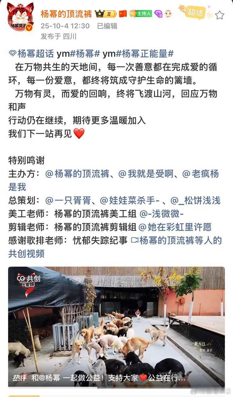 粉丝与偶像之间的双向奔赴就是这样吧！杨幂以粉丝之名做公益，杨幂粉丝也以杨幂和蜜蜂