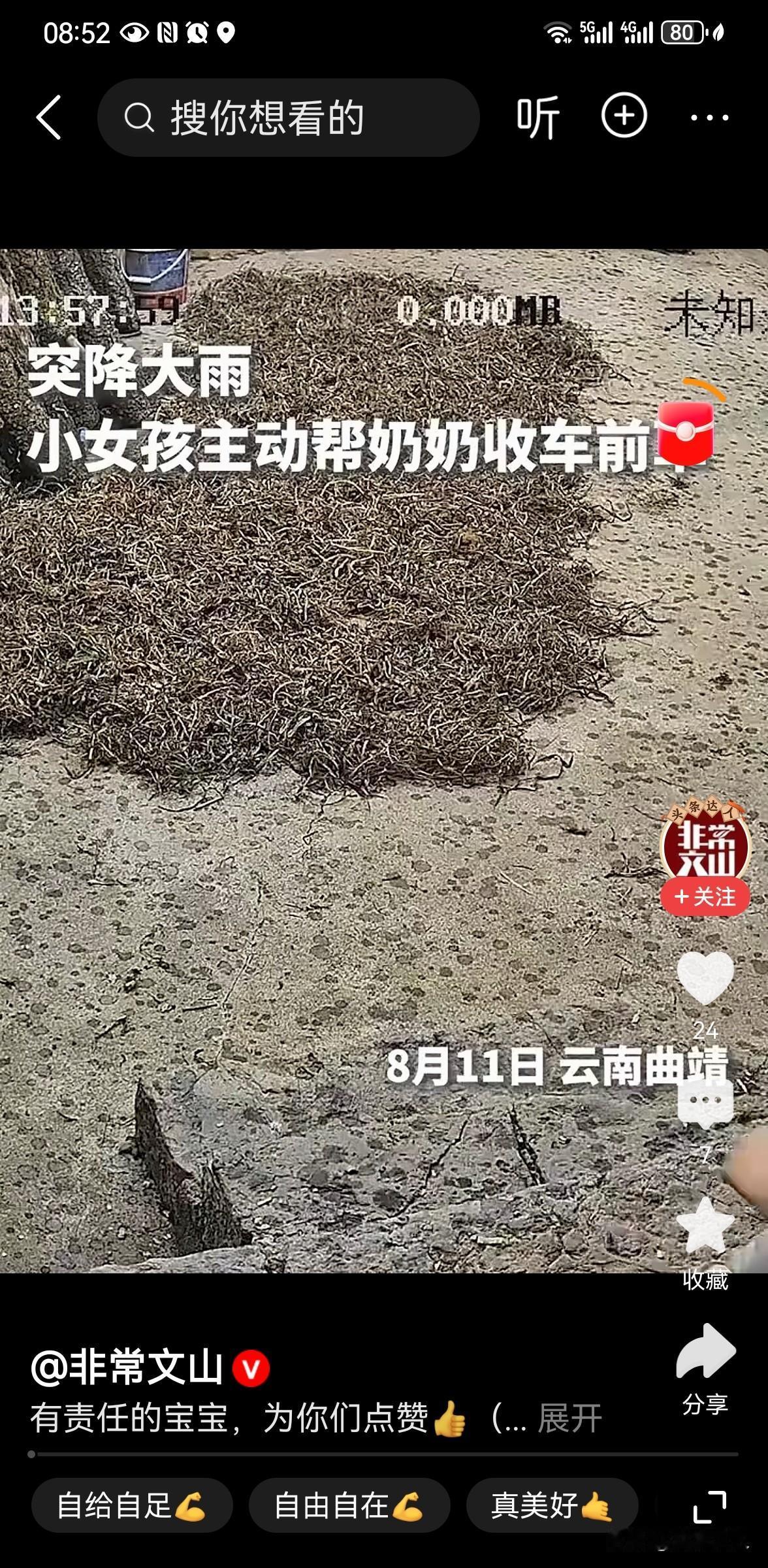 9岁姐姐带5岁弟弟雨中抢收车前草
8 月 11 日云南曲靖，一幕治愈无数网友的雨