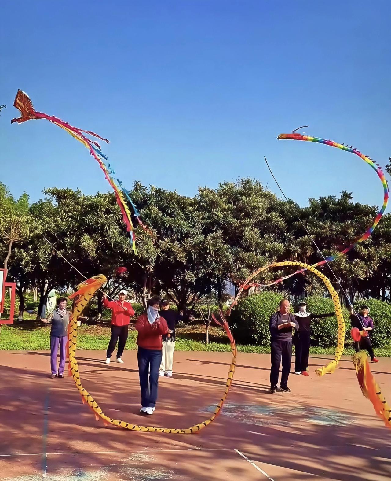 早上七点多，梅城公园的空地上，我远远看见一群人围成圈，中间传来"嗡嗡"的声响——