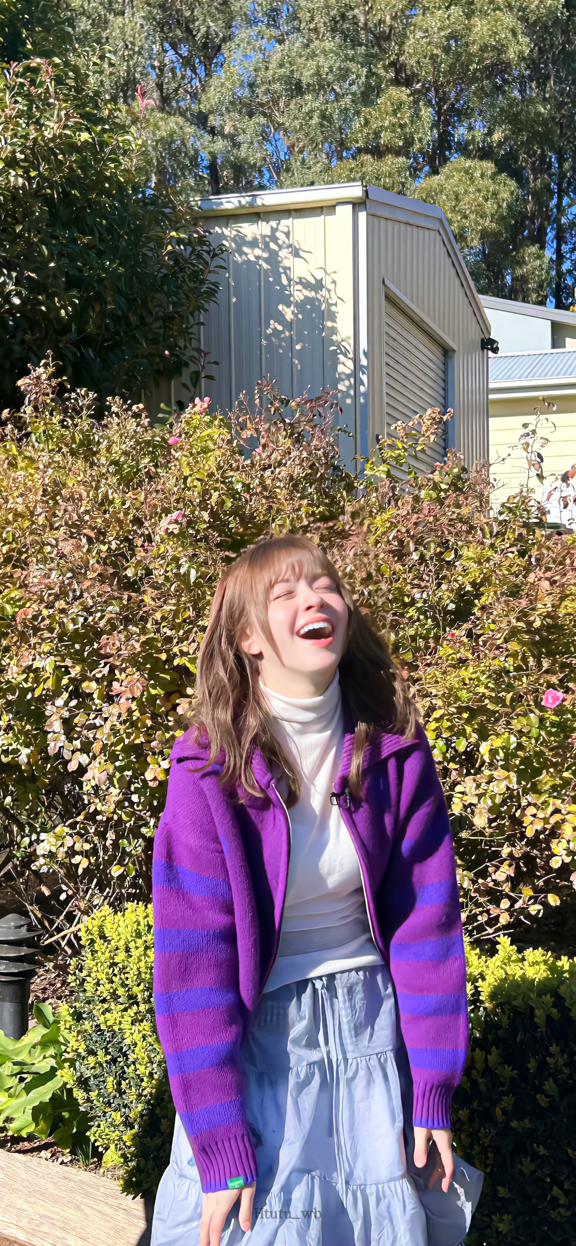 Lily壁纸😺🍃 ​​​