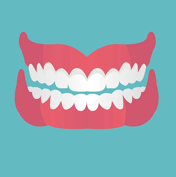 这牙真是个好东西，我太喜欢它了，这真是人间的爱好