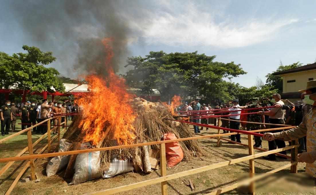 火光冲天，总统亲临，老妇落泪{毒品焚烧现场直击，国家命运与个人悲欢交织}

20