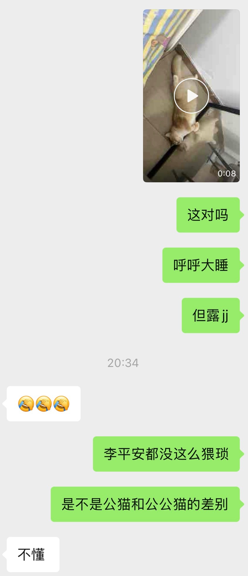和朋友蛐蛐我们家咪