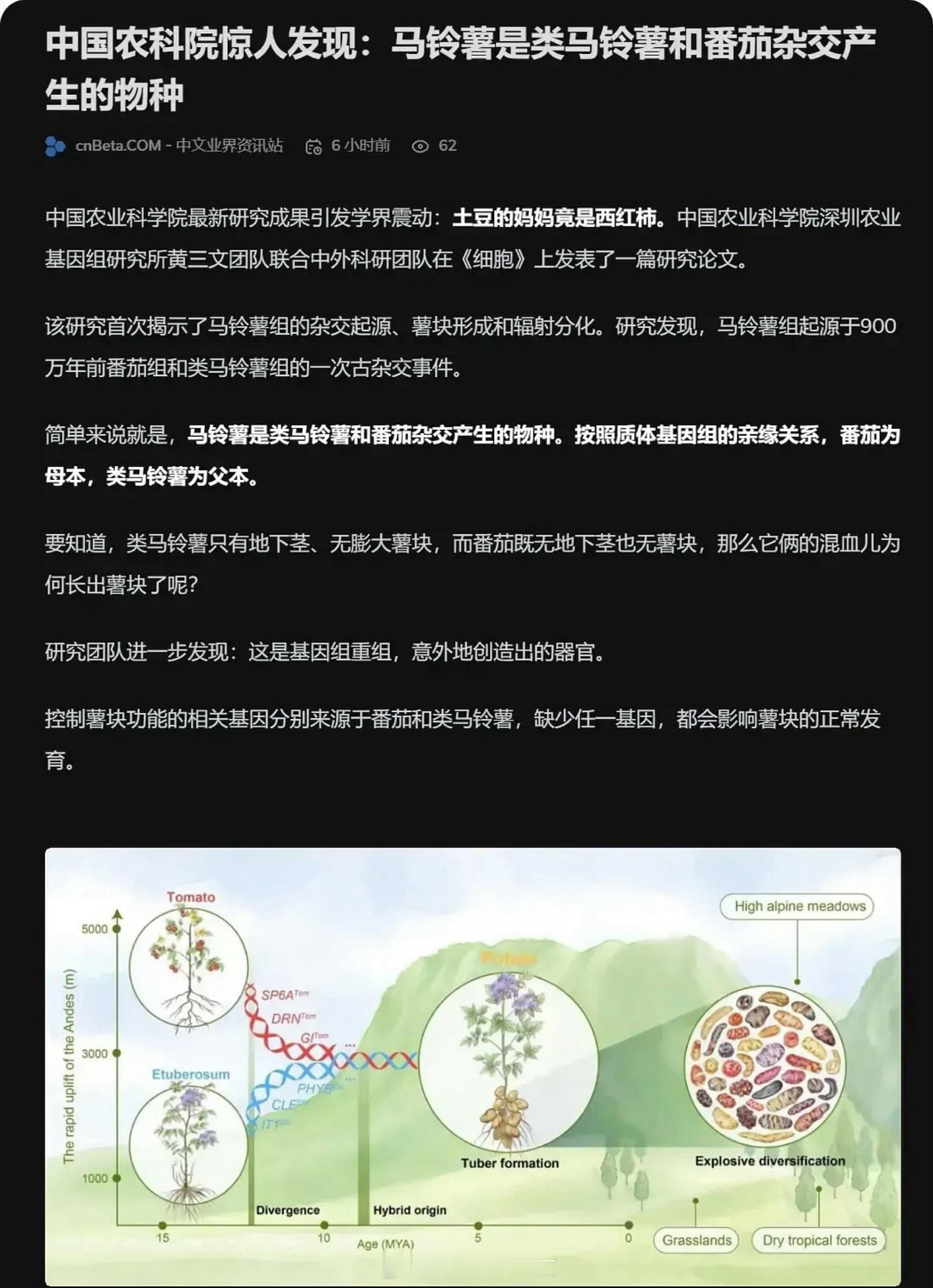 土豆的妈妈是西红柿？难怪都这么好吃…… ​​​