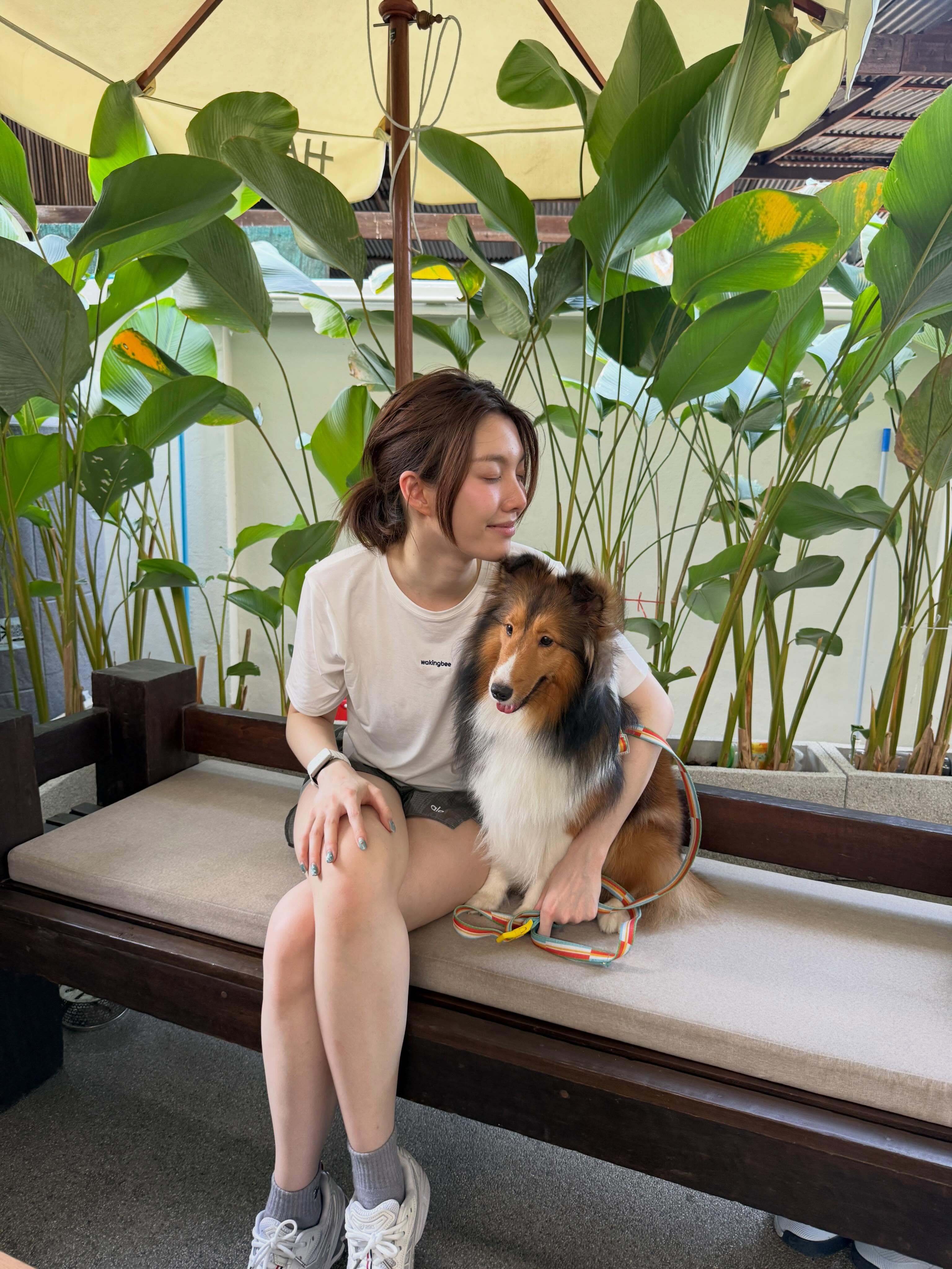 奥和喜乐蒂牧羊犬 ​​​
