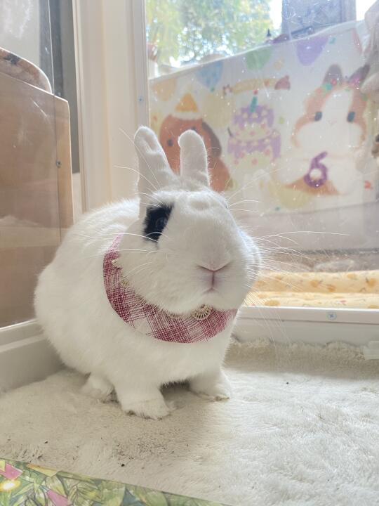 好看吗🥰