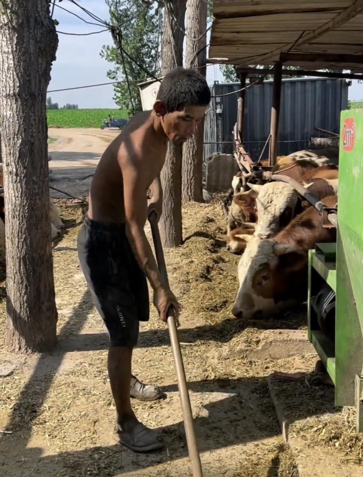 上官正义曝养牛场使用身份不明CZ人员做苦工多年，挨打是常事。

今天上官正义见到
