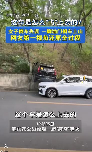“离了个大谱！”10月26日，四川攀枝花，一女司机倒车时失误，一脚油门下去车子“
