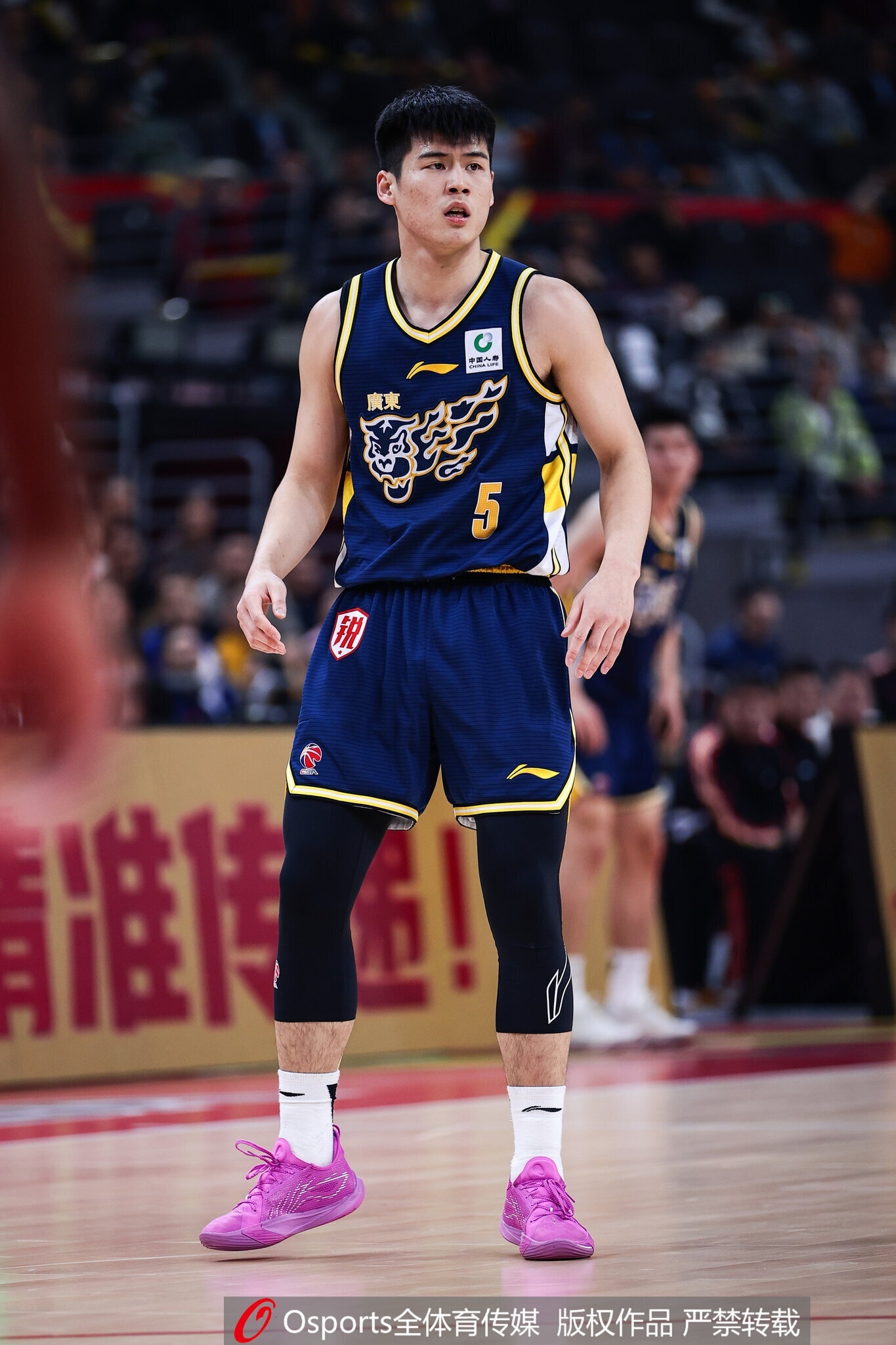 抓住机会，最近两次面对四川，新秀陈家政三分球10中8，合计得到35分9篮板4助攻