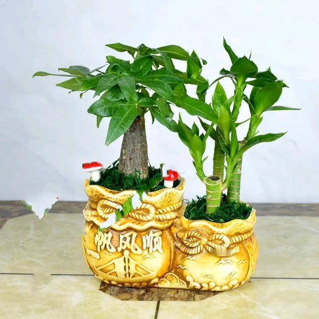 人运气好了挡都挡不住。前几年，亲戚家的小孩读了一个专科，疾病预防类的专业，家里人
