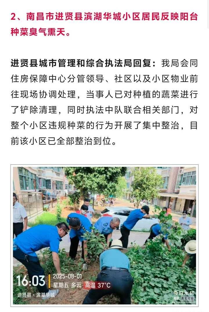 为什么要禁止小开荒，物业总是下通知不让开，却挡不住老头老太太的热情，这对生态有什