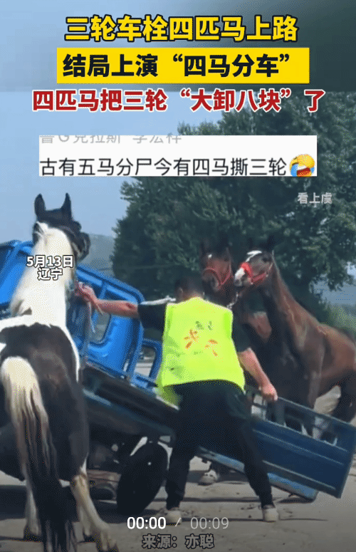 “笑不活了！”辽宁，一辆三轮车拴四匹马上路。不料，四匹马把三轮车“大卸八块”了！