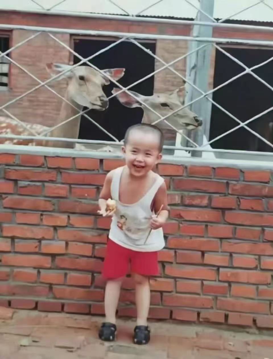 应该穿这个才对哼哼 