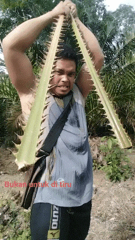 这是个狠人，我服了