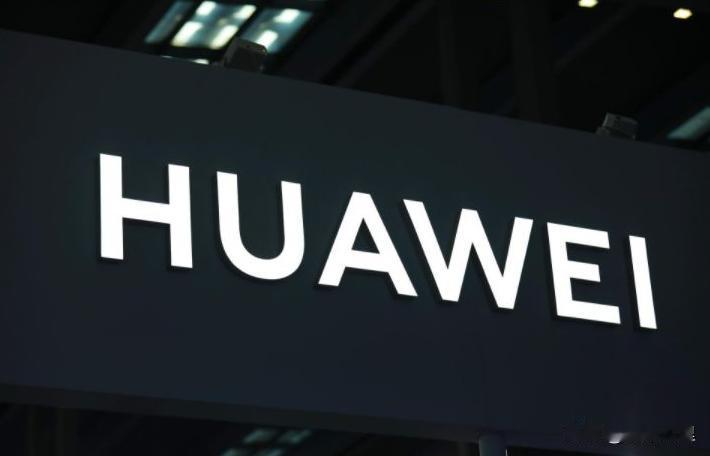 如果不是美媒亲口把事实说了出来，不知道还要有多少国人被蒙在鼓里！中企被美“卡脖”