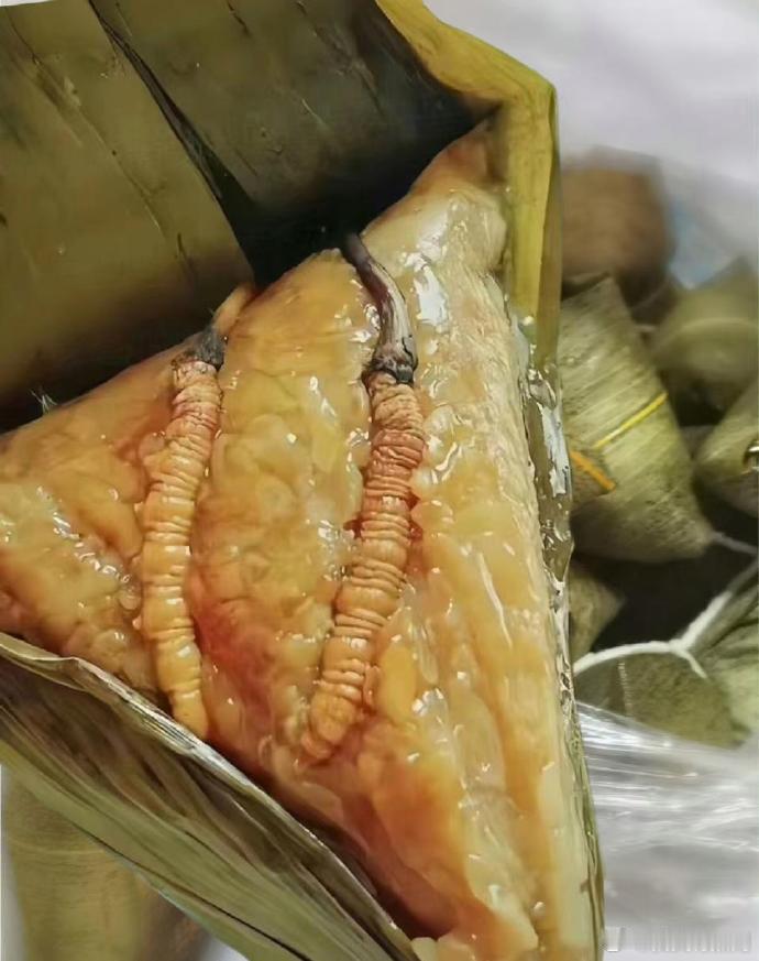 下属送来的粽子里面有两条虫子 