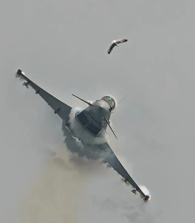 西班牙空军台风战机在航展中撞鸟全过程记录