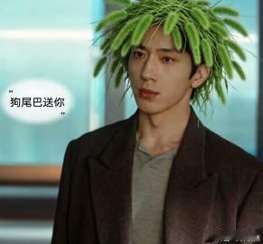 井柏然狗尾巴草的花语是暗恋栾念我们会不会太时尚了没有轰轰烈烈的告白，栾念的喜欢安