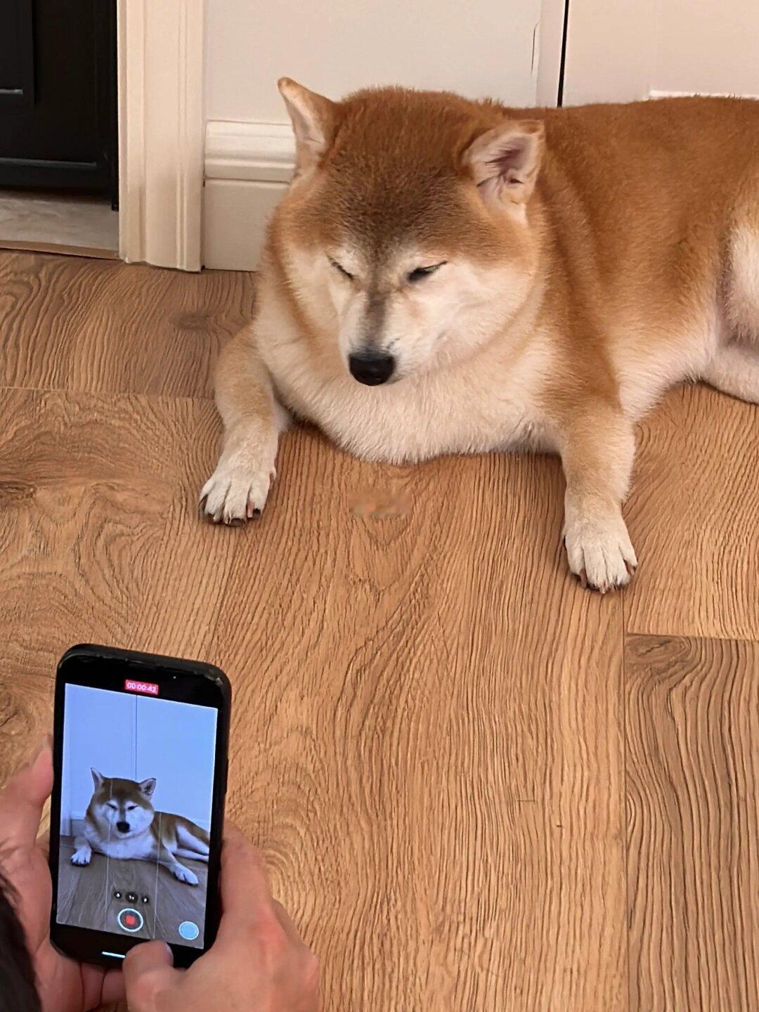 礼拜一上班我本人