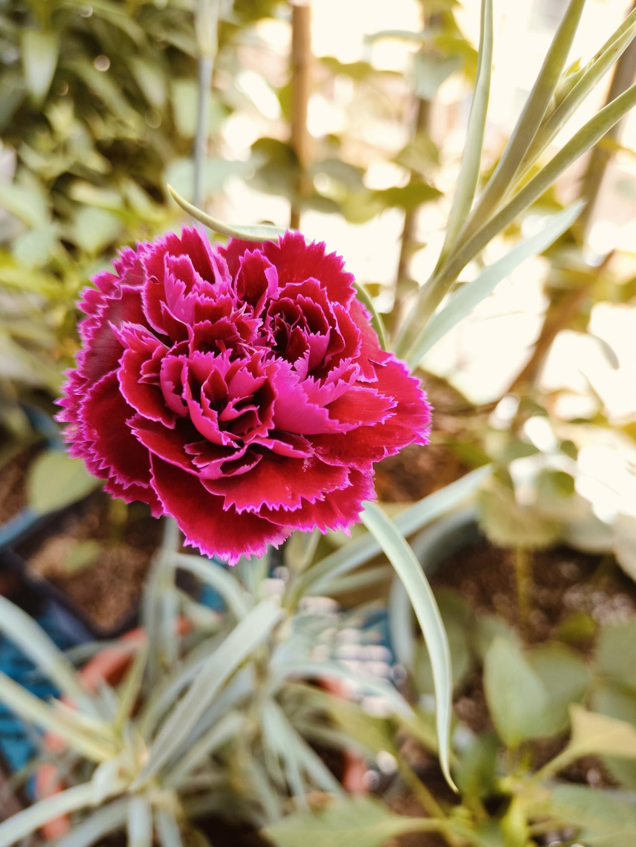 平安喜乐，万事胜意