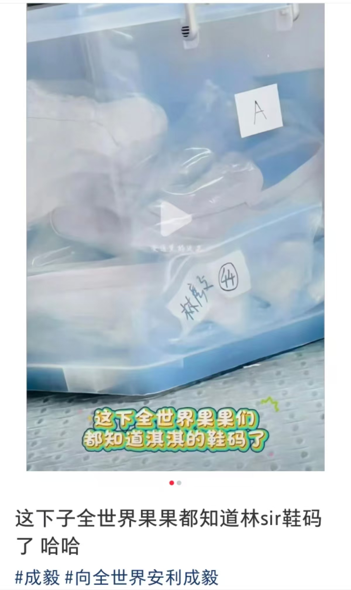 哦，穿44码 
