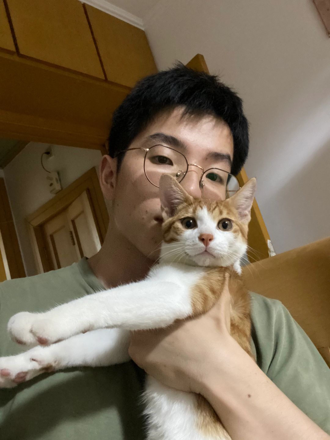 肚子很争气，生了个男橘猫