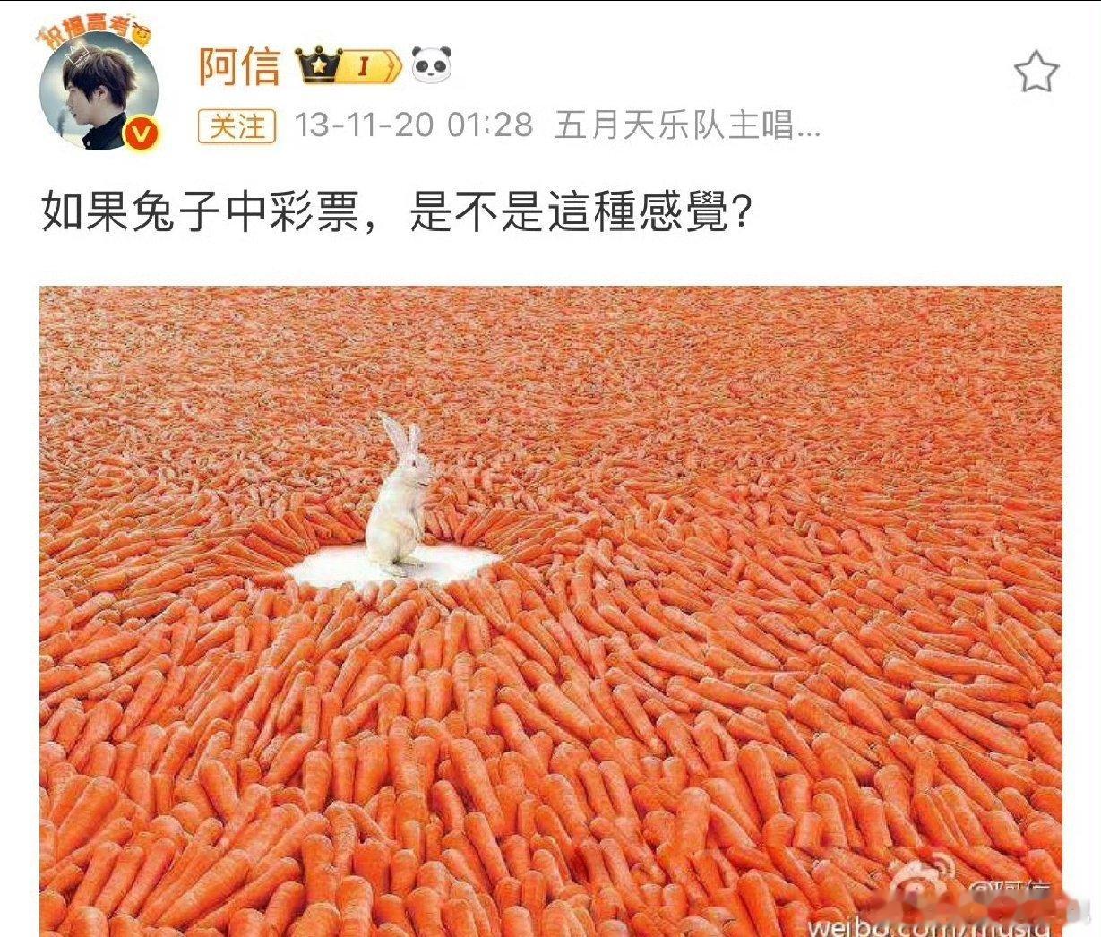 阿信 兔子中彩票阿信曾说的兔子中彩，在13场鸟巢成真了！唱《让我照顾你》时，橙海