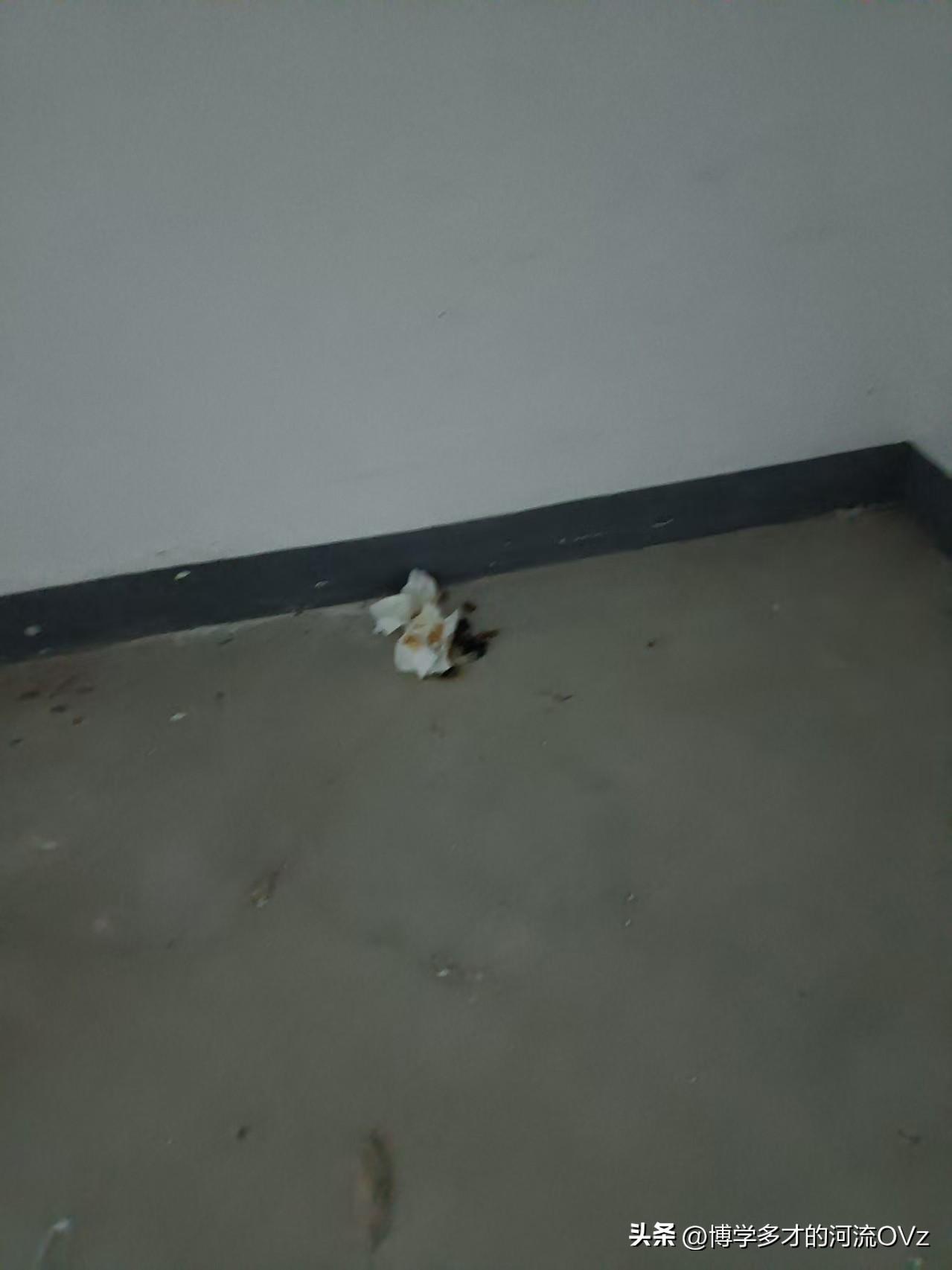 今天是金碧物业走后的第150天，大明物业的第58天。

“[恐惧][恐惧]哪个这