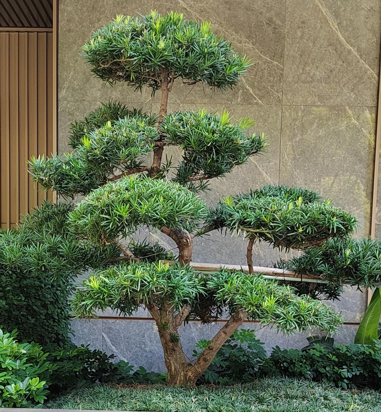 遇见，终归是始于喜欢的。倘若你心中没有那朵花，纵是漫山遍野，也不过是杂草而已。可