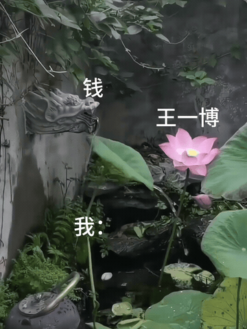 本周我完成了连续7天铁粉打卡，与的铁粉值额外增加1分！王一博[超话] ​​​