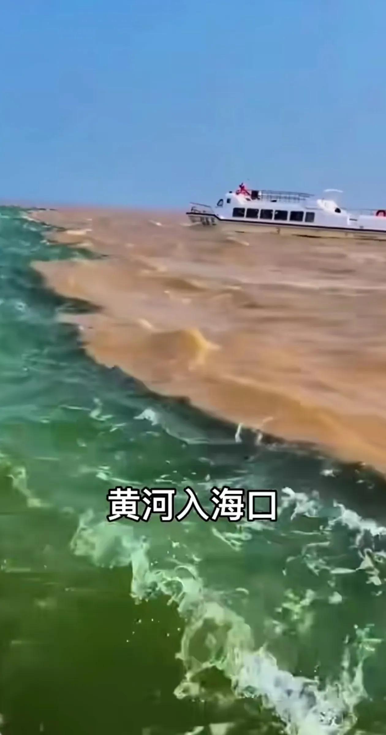 黄河入海口 各走各的路